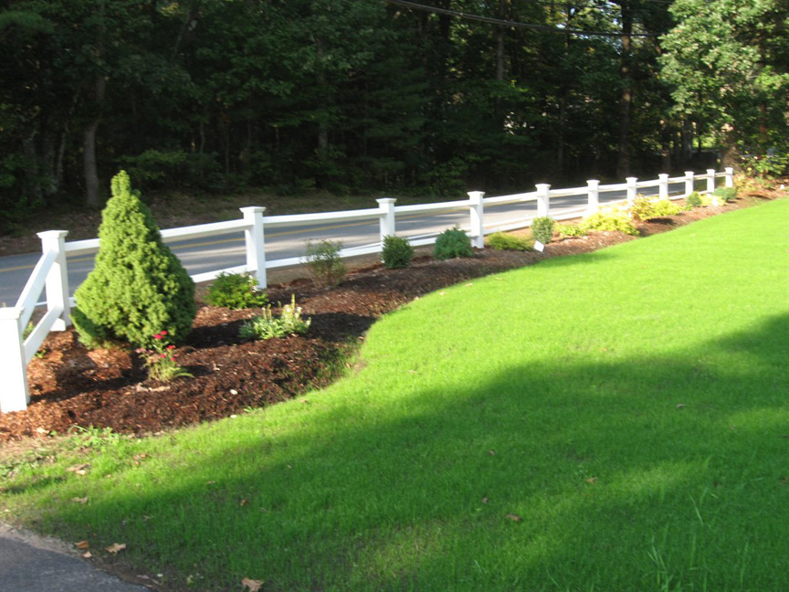 Mulch bed with plantings