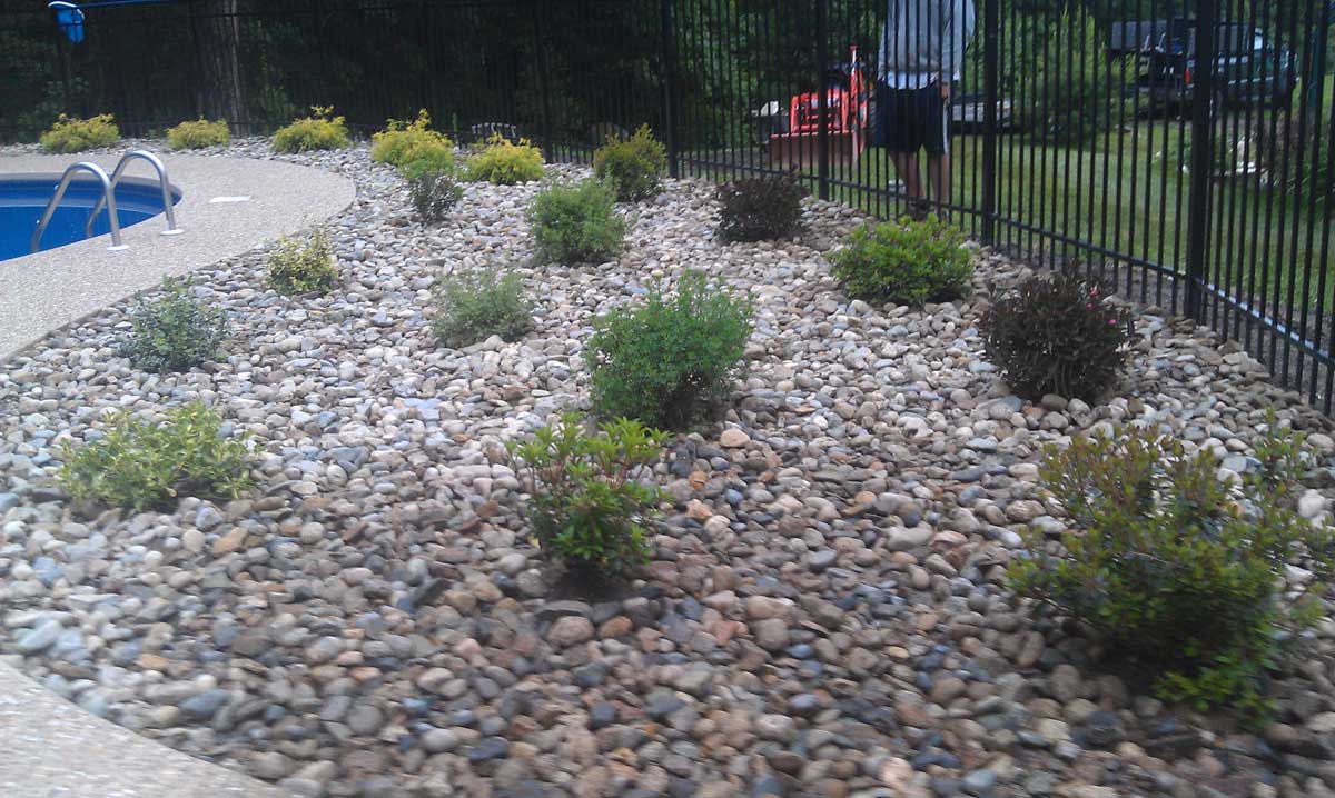 Merrimac Plantings (after)