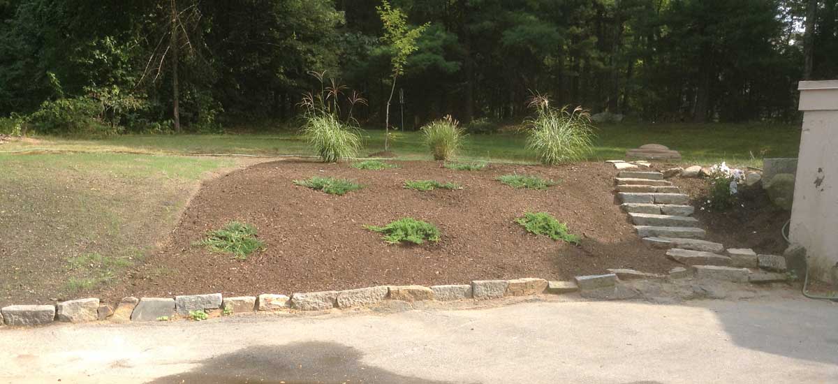 North Andover Plantings (after)
