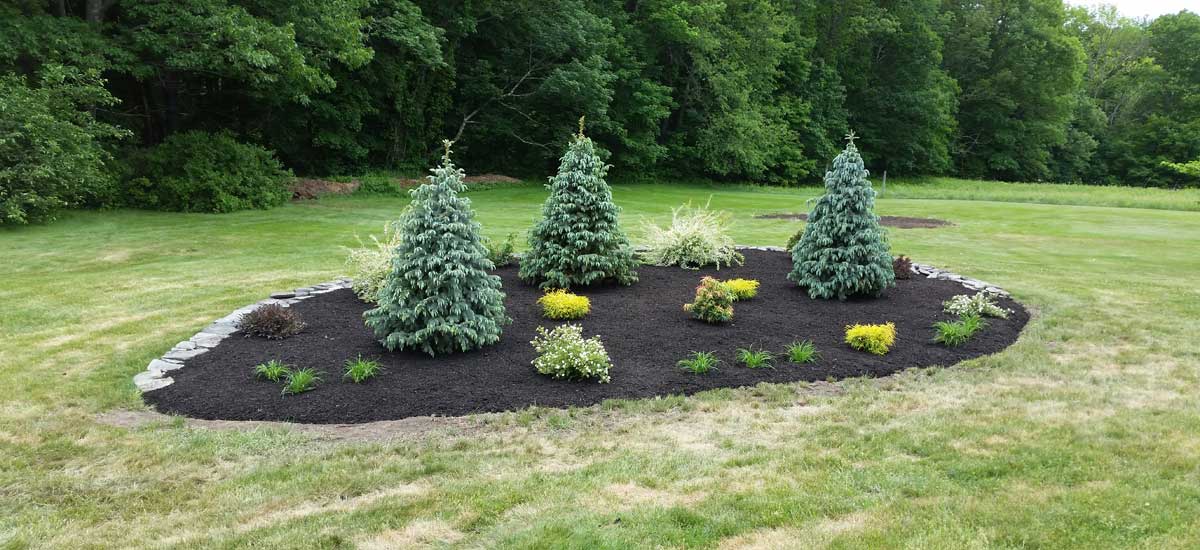 Tree Berm – Atkinson, NH