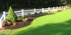 Landscape Plantings